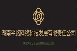 湖南平路網絡科技發展有限公司網站正式上線！