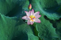 岳麓區(qū)建網(wǎng)站都有哪些步驟？