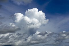 岳麓區(qū)企業(yè)網(wǎng)站開(kāi)發(fā)誤區(qū)