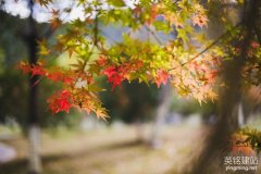 株洲建立網站怎么建