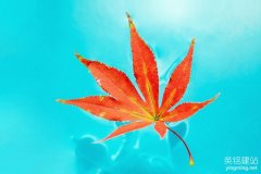 公司網站設計
