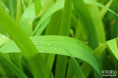 定制企業網站
