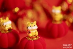 電子商務(wù)網(wǎng)站建設(shè)