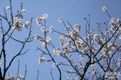 長沙制作網(wǎng)站公司怎么選擇？