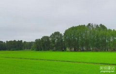 長沙建網(wǎng)站