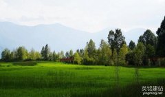長沙專業(yè)做網(wǎng)站怎么做更好？（長沙專業(yè)做網(wǎng)站的4個要點）