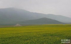 如何選擇長沙網站制作公司呢？（長沙網站制作公司能帶來的5點效果）