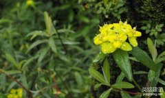 長沙網(wǎng)站開發(fā)需要多少錢？（長沙網(wǎng)站開發(fā)價格的4個類型）