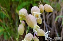 長沙網(wǎng)站的建設(shè)要怎么做？（長沙網(wǎng)站的建設(shè)需要注意8個(gè)方面）
