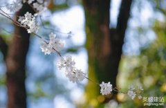 長(zhǎng)沙專(zhuān)業(yè)網(wǎng)站設(shè)計(jì)要注意什么？（長(zhǎng)沙專(zhuān)業(yè)網(wǎng)站設(shè)計(jì)的3個(gè)技巧）