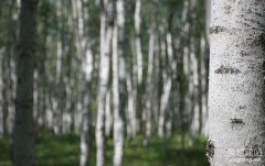 長沙網站改版要注意什么？（長沙網站改版的3個要點）