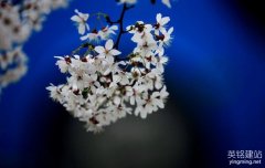 長沙裝飾公司網(wǎng)站建設(shè)要怎么做？（長沙裝飾公司網(wǎng)站建設(shè)的5個好處）