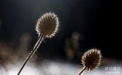 湖南公司網(wǎng)站創(chuàng)建的流程有哪些？（湖南公司網(wǎng)站創(chuàng)建的4個(gè)要點(diǎn)）