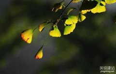 湖南高端網(wǎng)站建設(shè)要怎么做？（湖南高端網(wǎng)站建設(shè)的5個(gè)步驟）