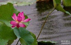 長沙公司網(wǎng)頁設(shè)計應(yīng)該注重美觀還是實用？（長沙公司網(wǎng)頁設(shè)計的3個建議）