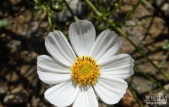 長沙企業(yè)網(wǎng)站策劃要怎么做？（長沙企業(yè)網(wǎng)站策劃的3個類型）