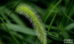 瀏陽網站制作的流程是什么？（瀏陽設計公司網站的8個步驟）