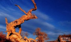 湘潭動(dòng)態(tài)網(wǎng)站開發(fā)要怎么做？（湘潭網(wǎng)站開發(fā)的6個(gè)詳細(xì)步驟）