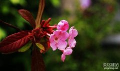 長沙公司網(wǎng)站制作多少錢？（長沙公司網(wǎng)站制作費(fèi)用的3個(gè)影響因素）