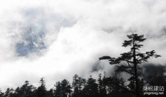長沙企業(yè)網(wǎng)站設(shè)計(jì)有什么原則？（長沙企業(yè)網(wǎng)站設(shè)計(jì)的5個(gè)原則）