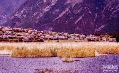 寧鄉(xiāng)怎樣選擇建站公司？（選擇寧鄉(xiāng)建站公司的4個(gè)方法）